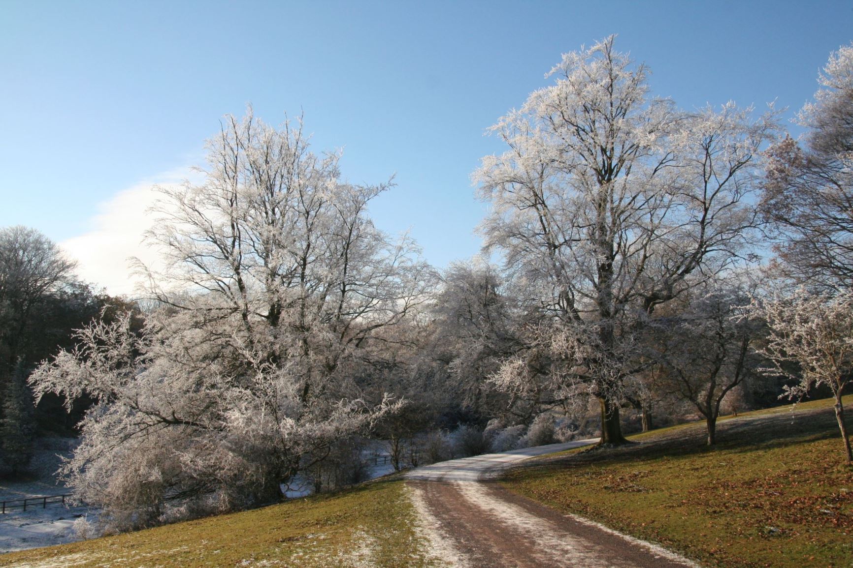 Arboretum view