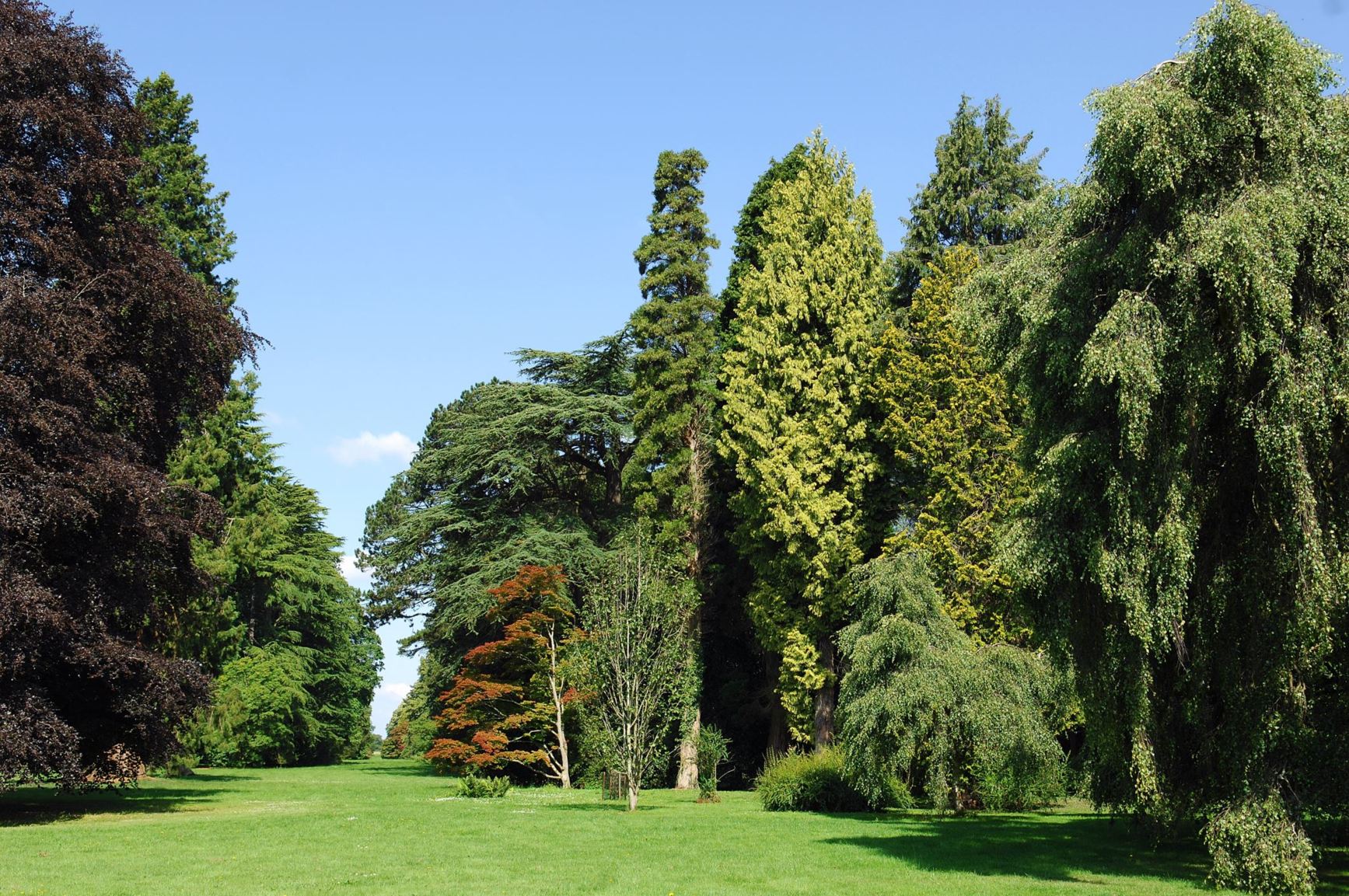 Arboretum view