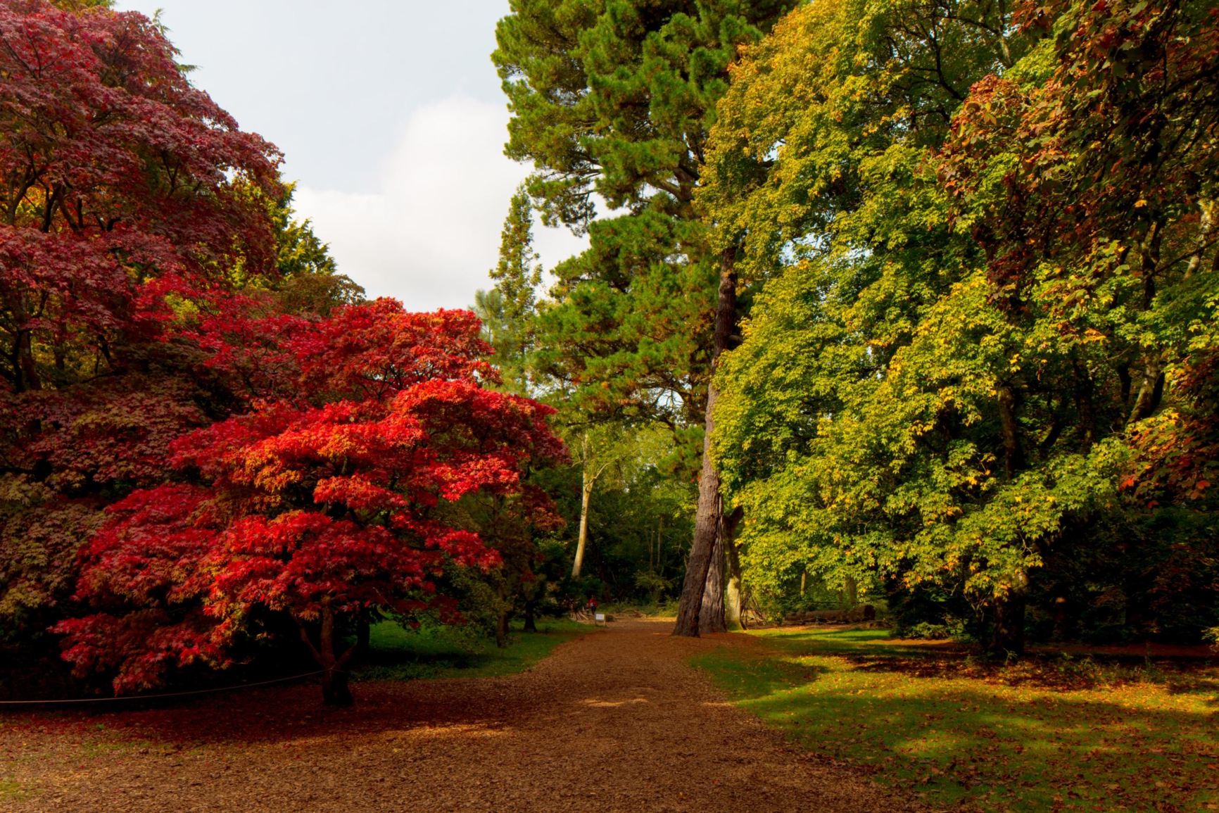 Arboretum view